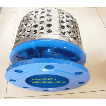 Ductile iron Rose strainer sss